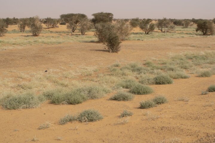 empty