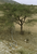 empty